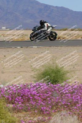 media/Mar-12-2023-SoCal Trackdays (Sun) [[d4c8249724]]/Turn 15 Inside Bloom (130pm)/